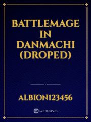 Battlemage in danmachi (droped) Book