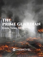 The prime guardian Book