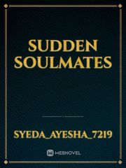 sudden soulmates Book