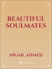 Beautiful Soulmates Book
