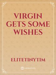 Virgin Gets Some Wishes Book