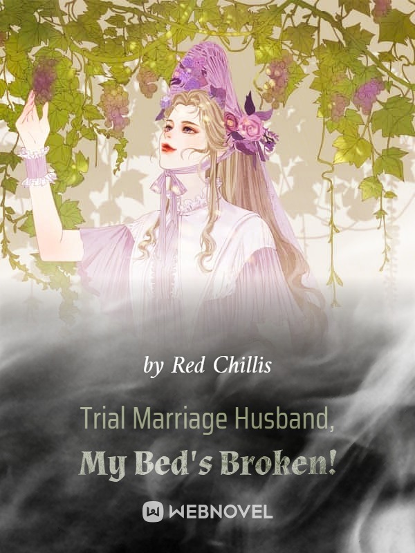 Trial Marriage Husband: My Bed's Broken! Book