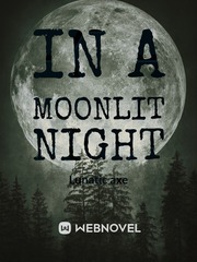 In A Moonlit Night Book