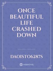 Once beautiful life crashed down Book
