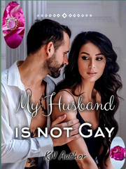 My Husband is not Gay Book