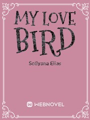 My love bird Book