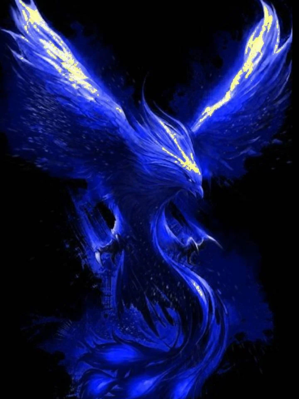 The Phoenix of Fairytail Book