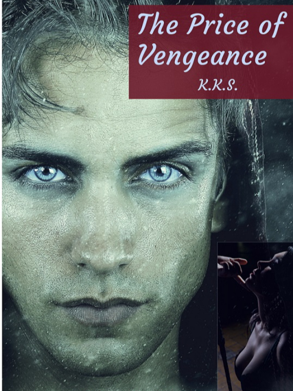 The Price of Vengeance Book