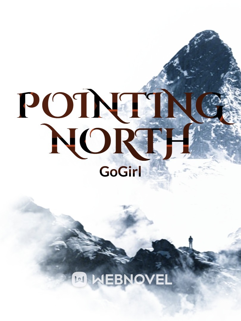 Pointing North Book