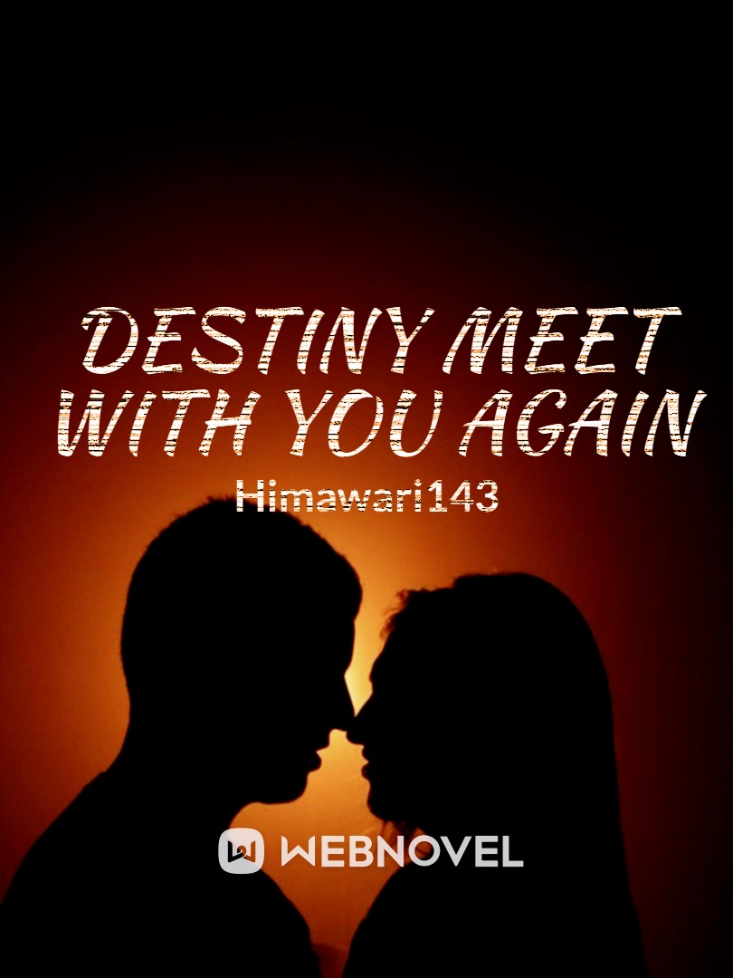 DESTINY MEET WITH YOU AGAIN Book