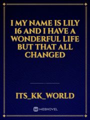 I my name is lily 16 and I have a wonderful life but that all changed Book