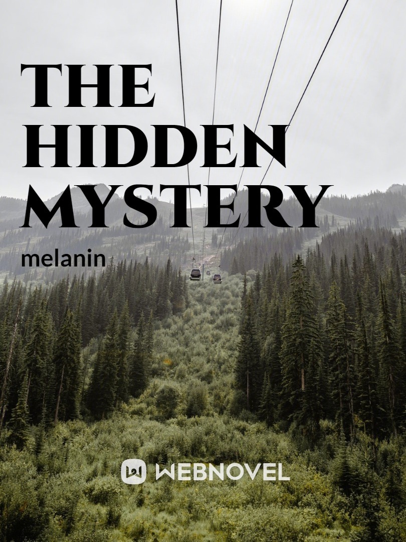 THE HIDDEN MYSTERY Book