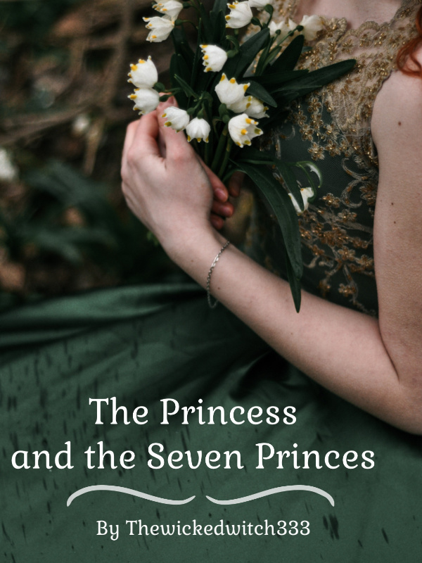 The Princess and the 7 Princes Book