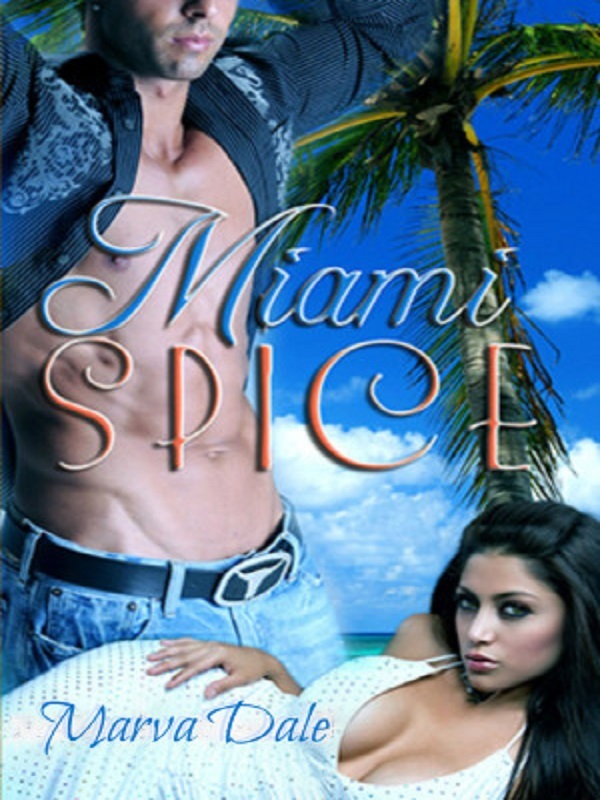 Miami Spice Book