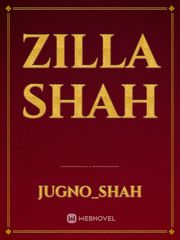 Zilla shah Book