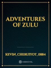 Adventures of zulu Book