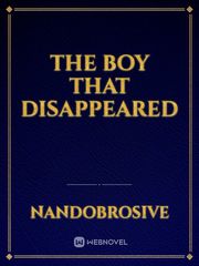 The boy that disappeared Book