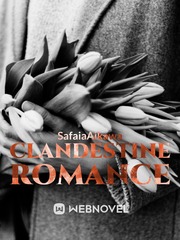 Clandestine Romance Book