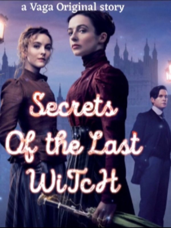 Secrets of the last witch Book