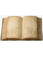 codex: knowledge bringer (español) Book
