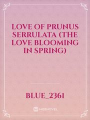Love of Prunus Serrulata    (The love blooming in Spring) Book