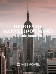 Heroes of marvel(not mine) Book