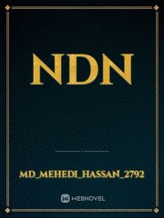 Ndn Book