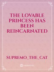 The Lovable Princess has been Reincarnated Book