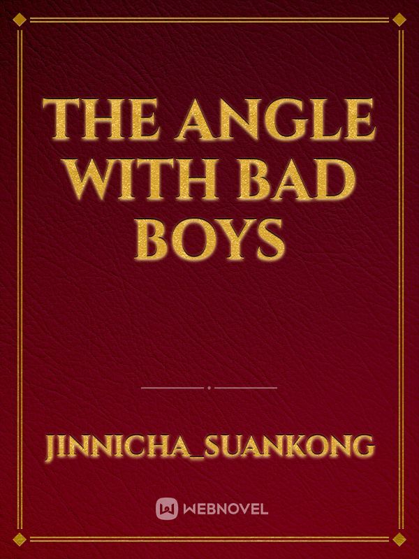 The angle with bad boys Book
