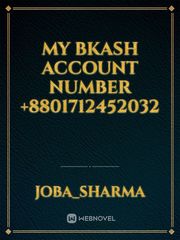My bkash account Number +8801712452032 Book