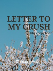 Letter to my crush Book