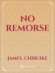 No remorse Book