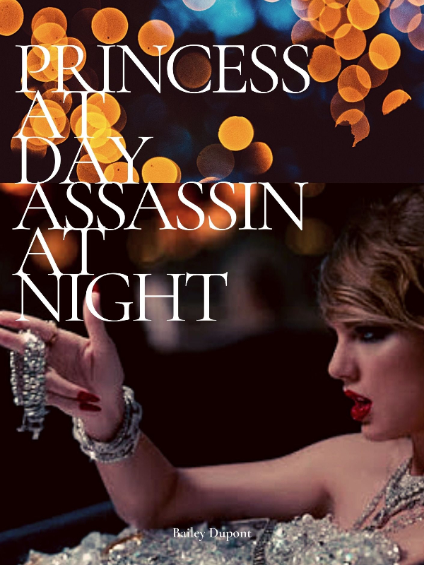 Princess at Day, Assassin at Night Book