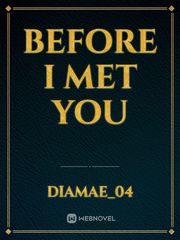 BEFORE I MET YOU Book