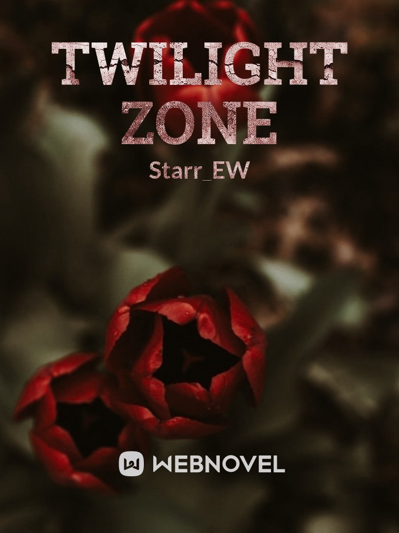 twilight zone Book