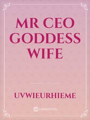 Mr CEO Goddess Wife Book