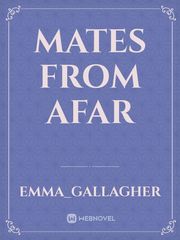 Mates from afar Book