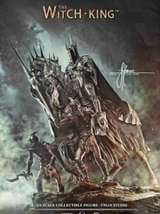 The Promise of the Witch king Book