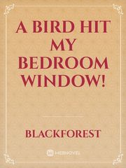 A Bird Hit My Bedroom Window! Book