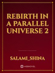 Rebirth in a parallel universe 2 Book