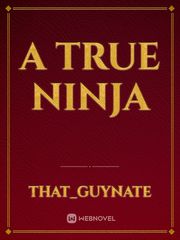 A true ninja Book