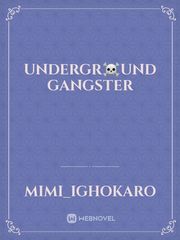 undergr☠️und gangster Book