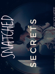 SNATCHED SECRECTS Book