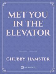 Met you in the elevator Book