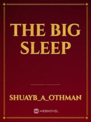 The big sleep Book