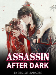 Assassin After Dark Book