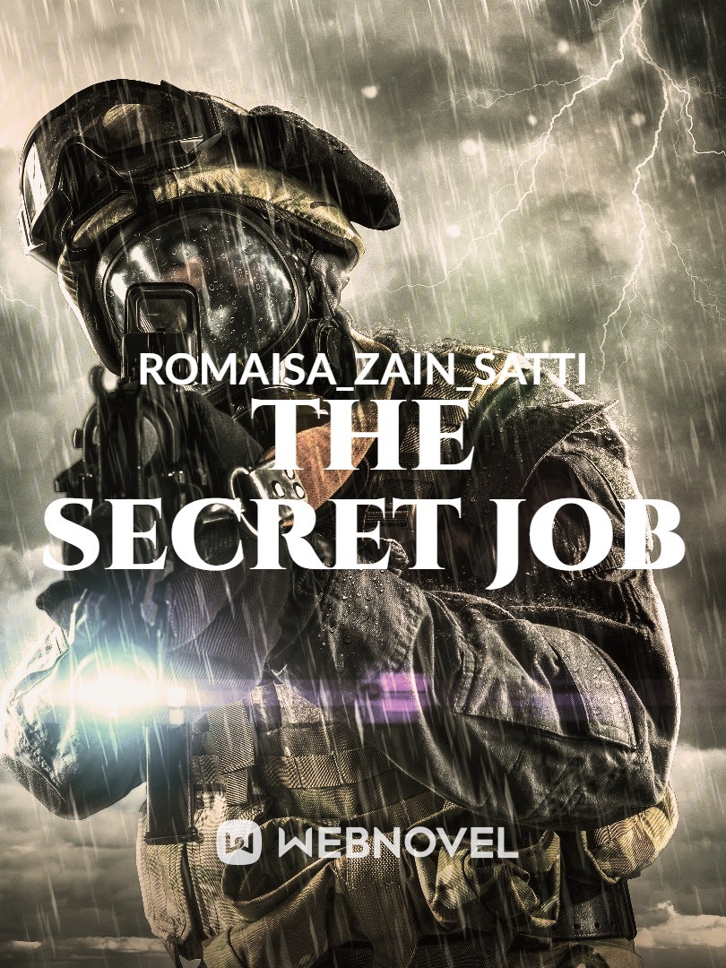 THE SECRET JOB Book