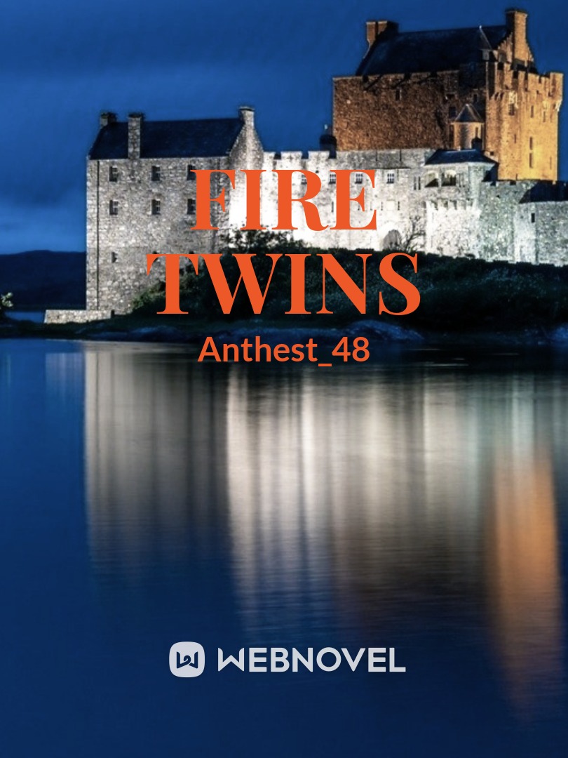 Fire Twins Book