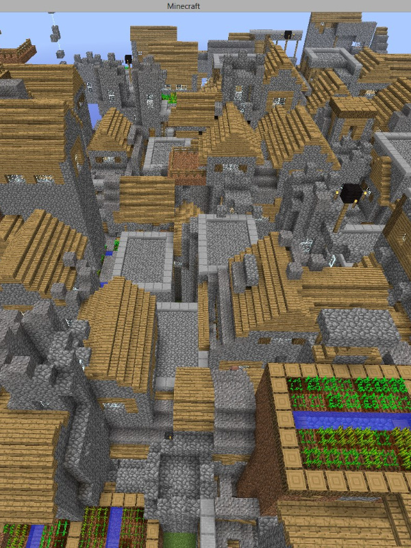 Minecraft: Infinite Villages. Book