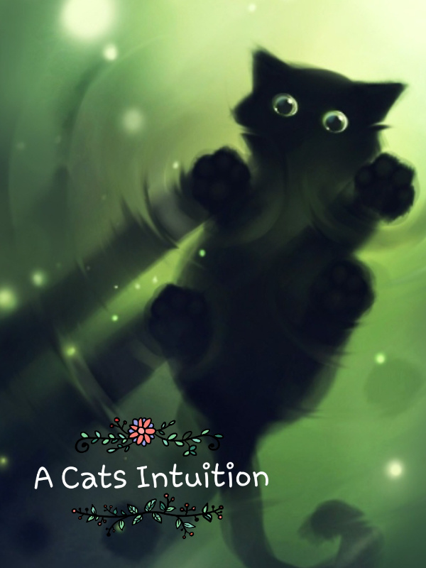 A Cats Intuition 
 (MHA Fanfic)
